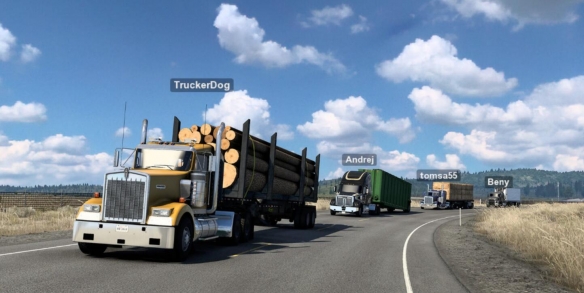 ����������ģ�⡷��������˵��