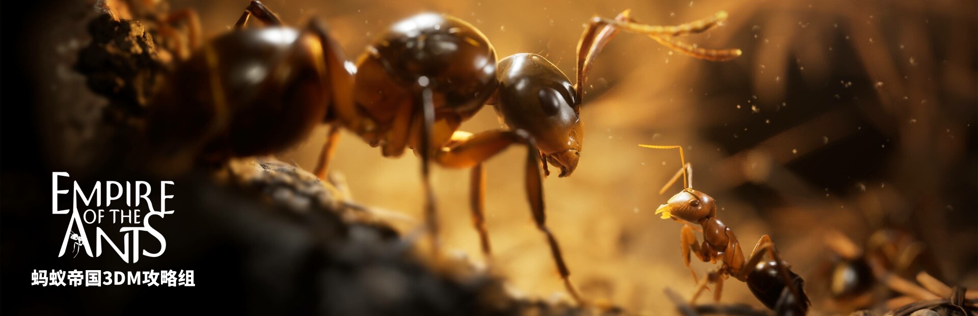 �����ϵ۹�����������һ��