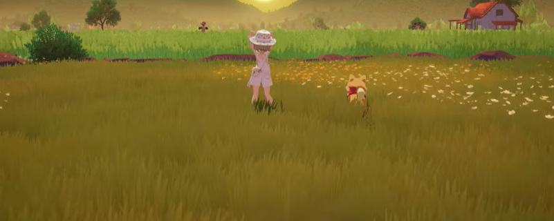 ����ɰ�������Ϸ����ʱ�����