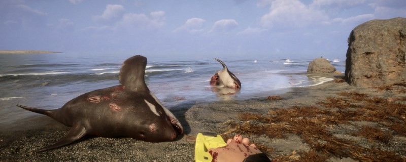 ��ɭ��֮�ӡ������ƶ����ߴ���