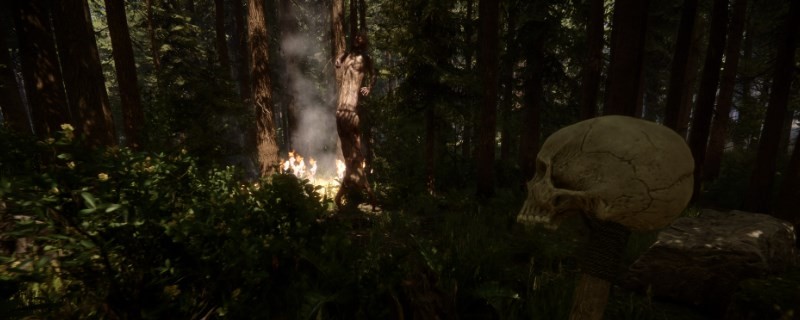 ��ɭ��֮�ӡ��������ô������