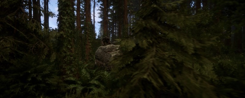 ��ɭ��֮�ӡ������������