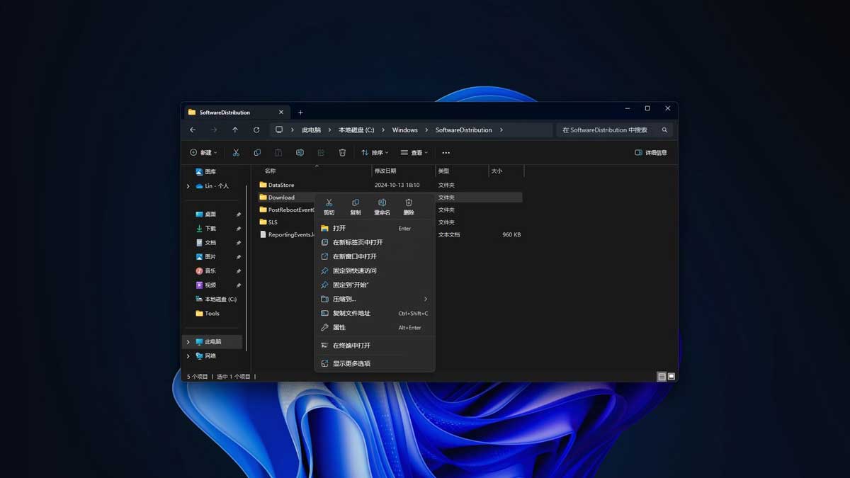 Windowsļôɾ? Win11/10ɾWindows»ļַ