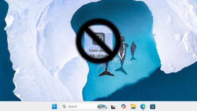 Win11˽ͼƬͼôɾ? Spotlightֽɾ˽йشͼƬļ