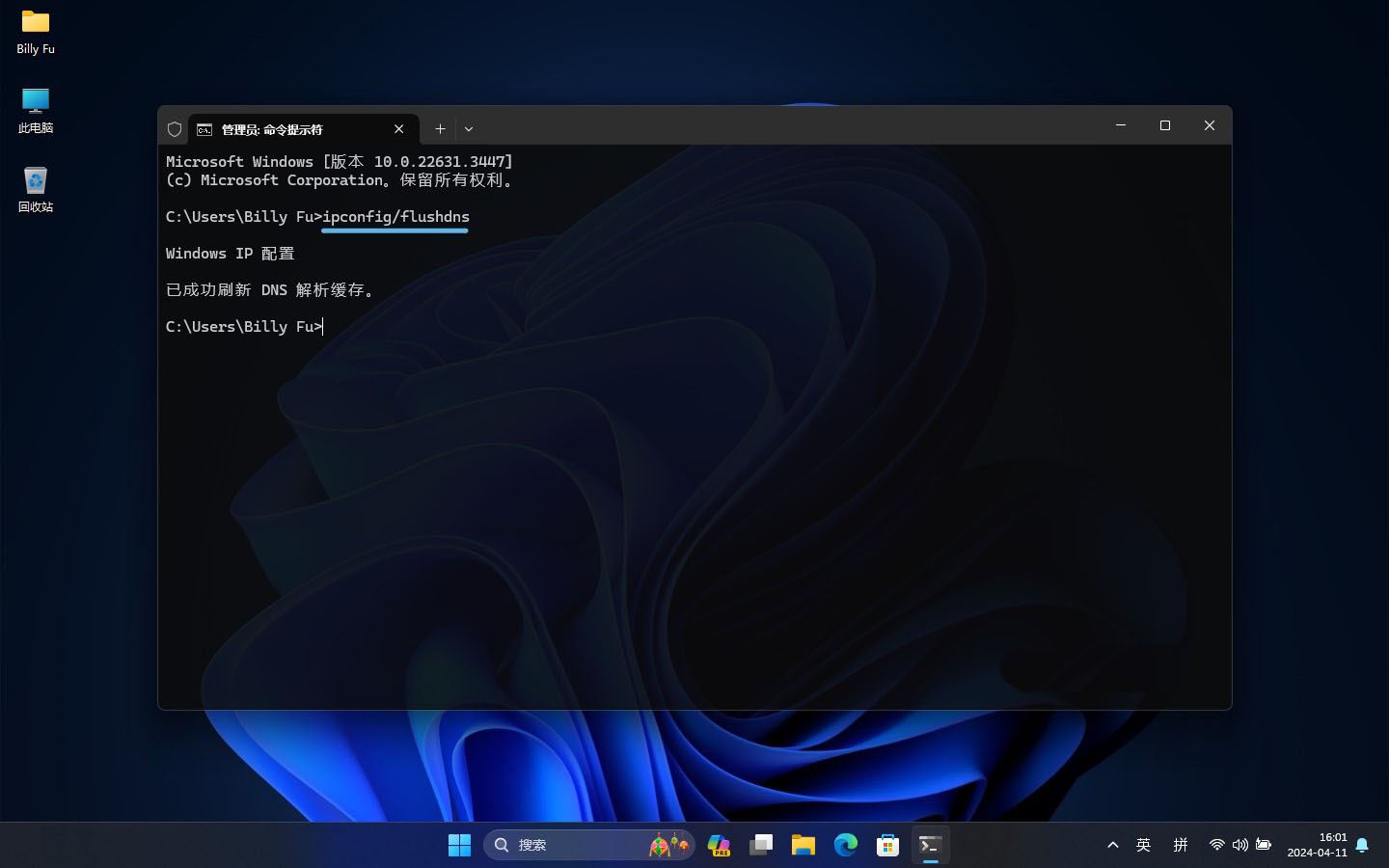 Win11怎么查看和清除DNS缓存? 清除dns缓存命令使用指南 Win11怎么查看和清除DNS缓存? 清除dns缓存命令使用指南
