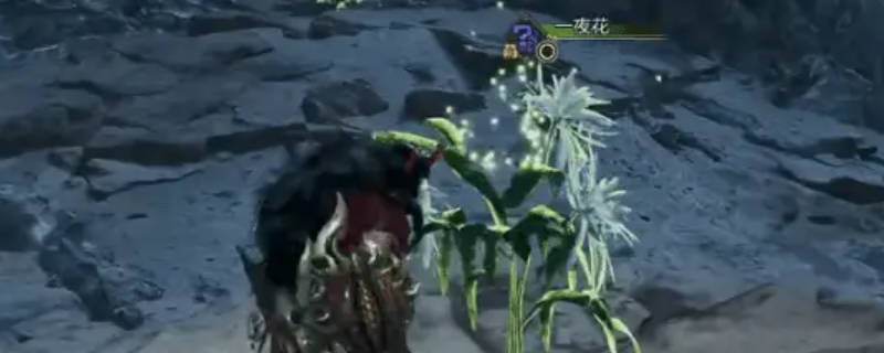 《怪物猎人:荒野》刷一夜花攻略介绍