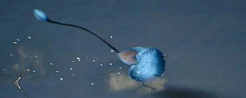 《怪物猎人:荒野》流星发光的生物位置介绍