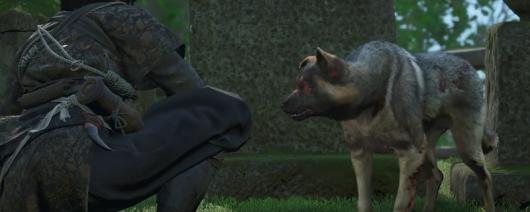 ���̿�������Ӱ����������÷�������