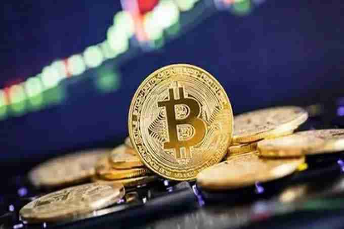 2025ɽկ��ţ�У��ؼ�����Ԥ��