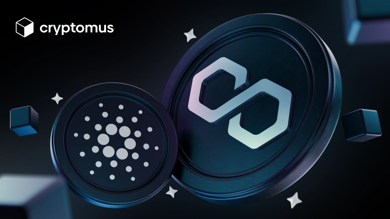 Cardano�Ա�Polygon���ĸ����ʺ��㣿