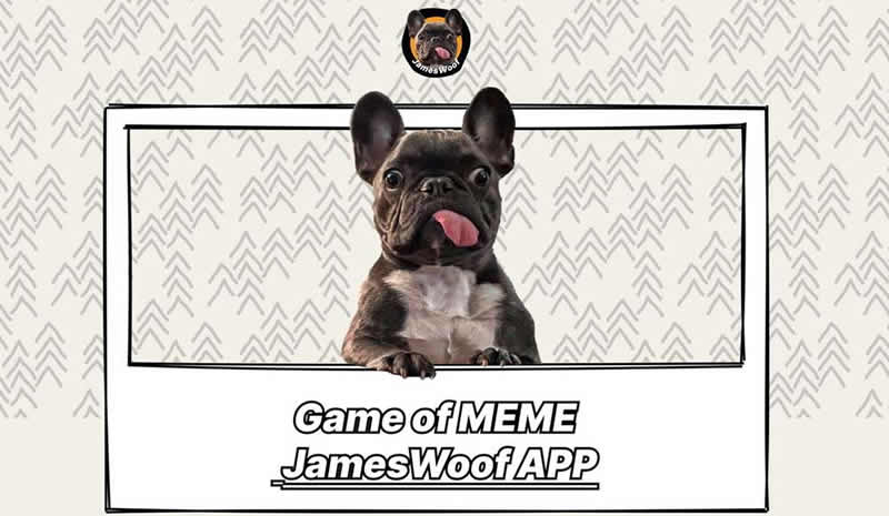 JWC��ȫ���ԣ��淨����Ͷ��Ͷ��