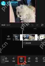 剪映变声功能在哪