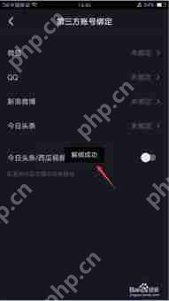 抖音子账号功能特点详解