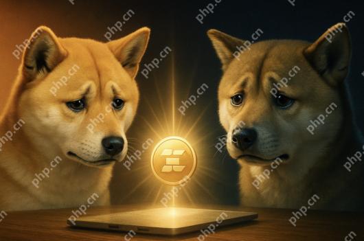 2025ۿĶܻңDragoinPepeShiba InuBonkṩ޴10ر