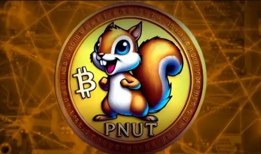PNuTңMemeCoinĴ