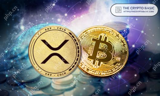 XRP۸ѭر·ܻῴӡ̵ļ