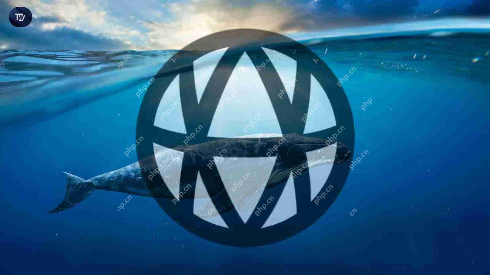 XRP۸ѭر·ܻῴӡ̵ļ