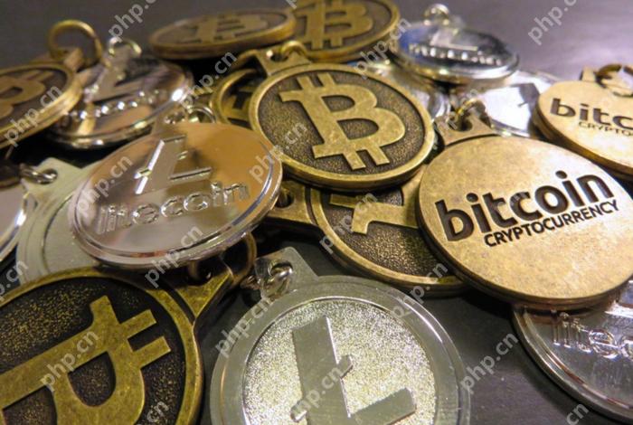 XRP۸ѭر·ܻῴӡ̵ļ