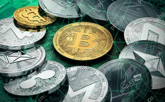 XRP۸ѭر·ܻῴӡ̵ļ