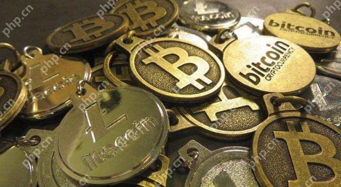 XRP۸ѭر·ܻῴӡ̵ļ