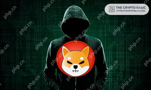 DogecoinDoge۸Ԥ⣺Dogecoin۸ܿ