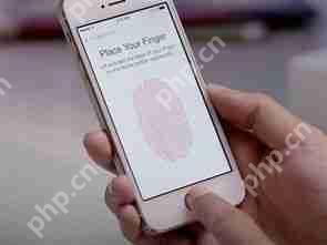 iPhoneô
