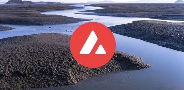 AVAXұǱ޴AvalancheƷ