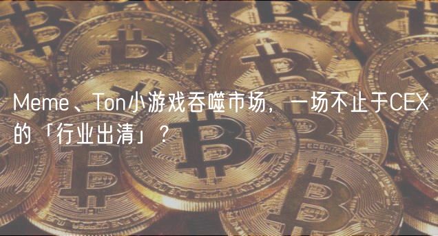 MemeTonСϷϯгCryptoҵٳ