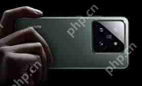 8gen4»ֵ