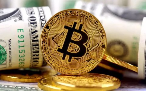 WIF��������⣺2023����Ƴ���Wi-Fi������ѡ��