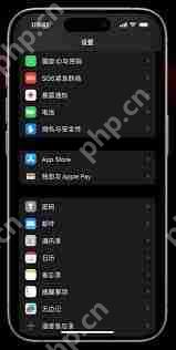 iOS17小技巧:如何自动清理iPhone验证码信息