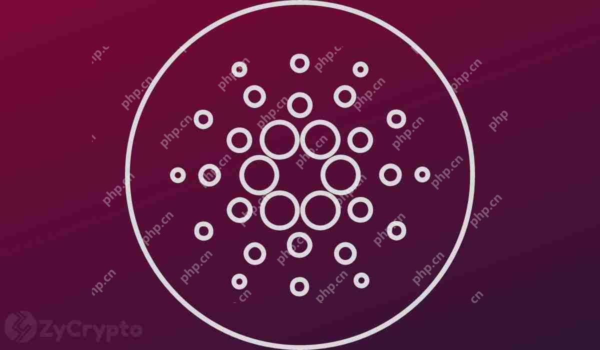 Cardanoʼ˻ӦOṂCardanoȶ
