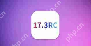 苹果iOSiPadOS17.3RC更新亮点有哪些