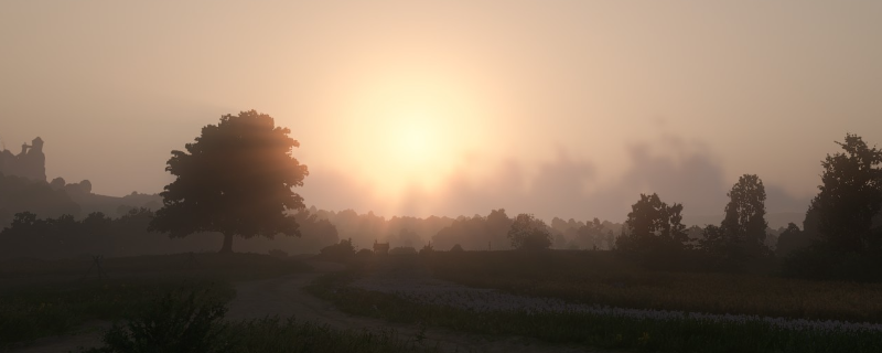 2Է