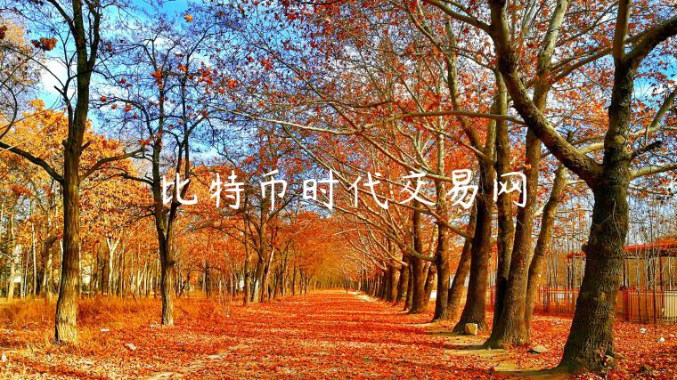 رҽ׾ʾڻٸ