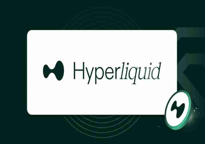 HyperLiquid(HYPE)����ʲô?HYPE�Ҽ۷�����δ��չ������