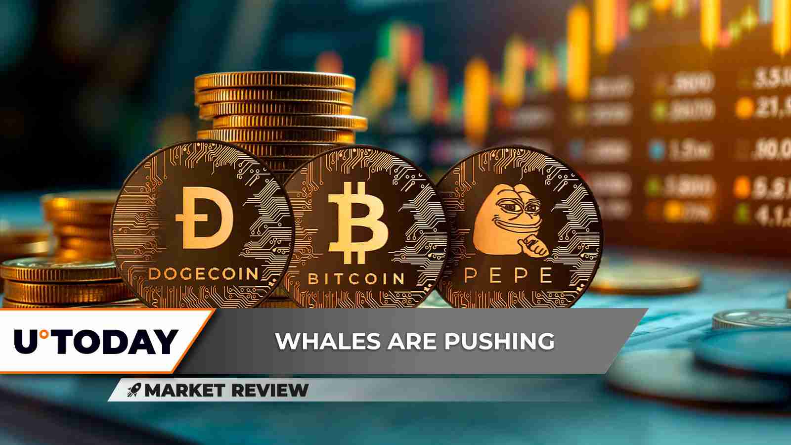 HyperLiquid(HYPE)����ʲô?HYPE�Ҽ۷�����δ��չ������