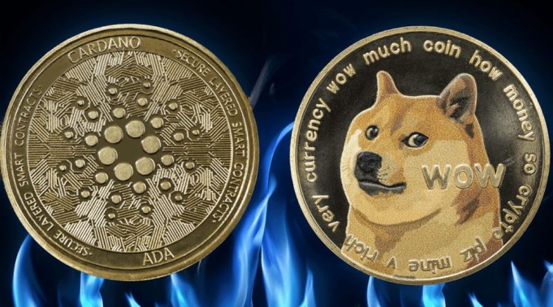 (DOGE)Ϳŵ(ADA)20256Ԥ ADA ͹һӭ۸Ĵ