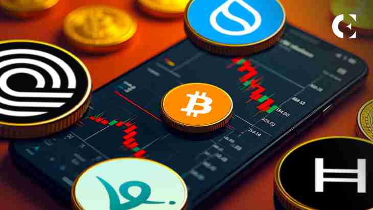 SUI˷Cetus©ҪFUD˺һֱָ