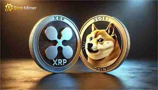ļܷʦXRPͶ߷ϸ񾯸