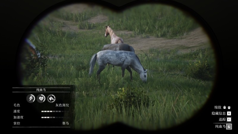 ����Ұ���ڿ�2��������ս10���Է���