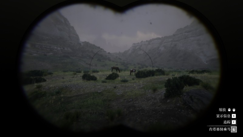 ����Ұ���ڿ�2��������ս10���Է���