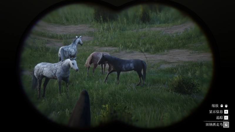 ����Ұ���ڿ�2��������ս10���Է���