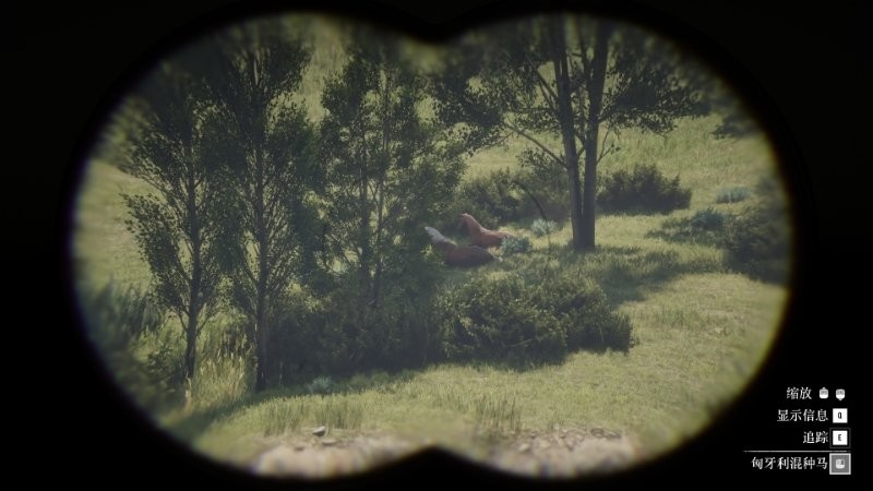 ����Ұ���ڿ�2��������ս10���Է���