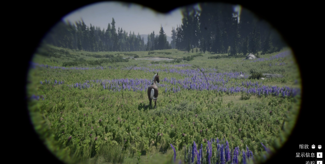 ����Ұ���ڿ�2��������ս10���Է���