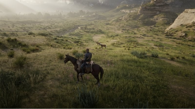 ����Ұ���ڿ�2��������ս10���Է���