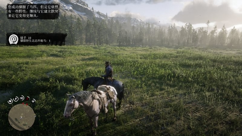 ����Ұ���ڿ�2��������ս10���Է���