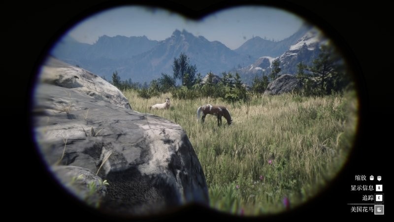 ����Ұ���ڿ�2��������ս10���Է���