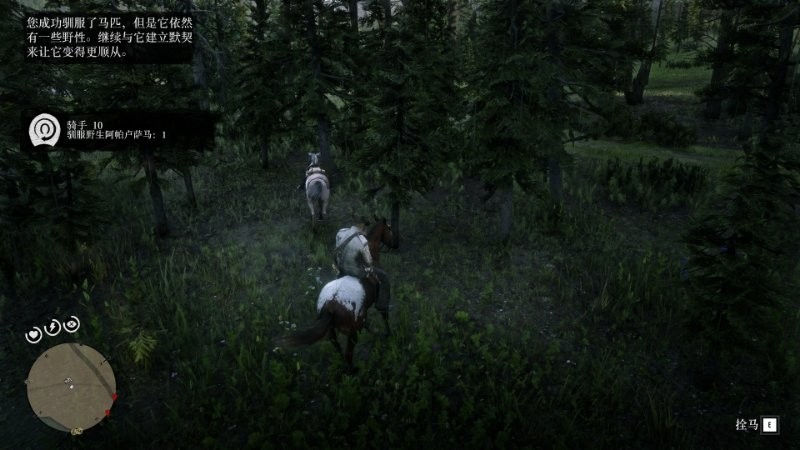 ����Ұ���ڿ�2��������ս10���Է���