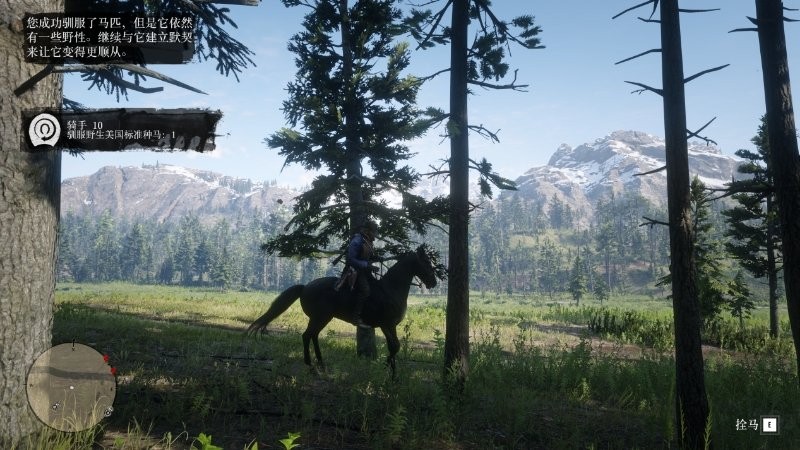 ����Ұ���ڿ�2��������ս10���Է���